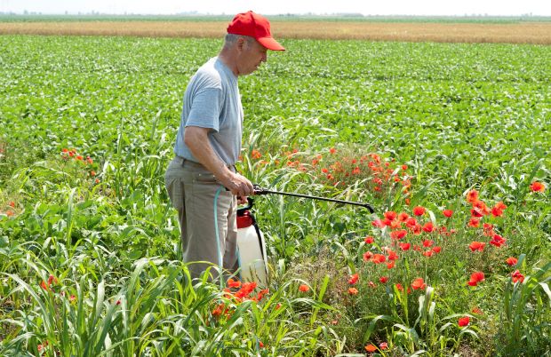 Man considers risk assessment when using chemicals