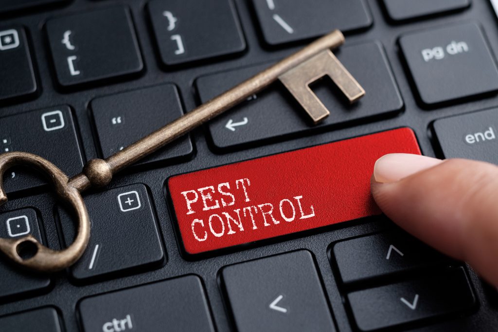A keyboard button labeled 'pest control.' Pest control traineeships can be useful to employers and employees