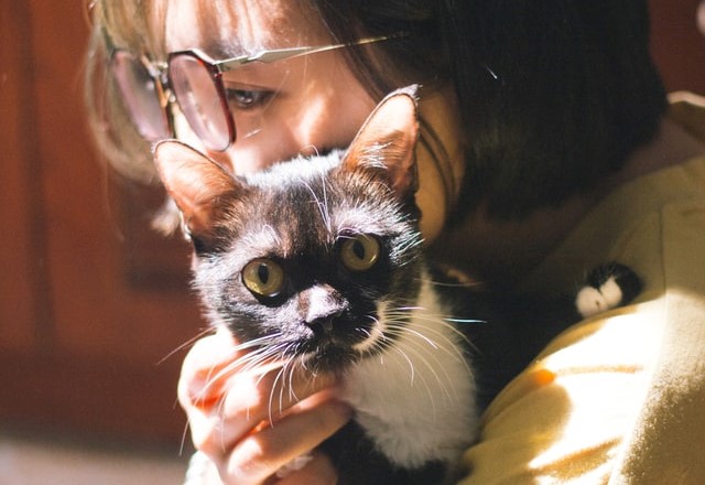 pet owner keeps cat safely away from the house during a pest control treatment