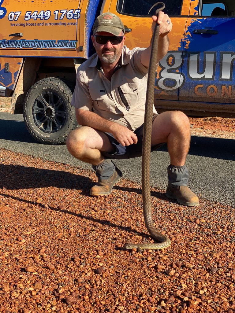 Urban pest control expert, Jay Turner removing a snake from a client's property.
