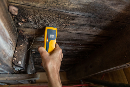 close up of someone conducting a pre-purchase inspection report on a building