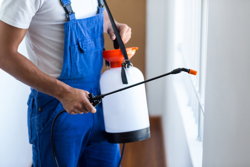busy pest controller during peak season