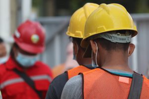 WHS in pest jobs requires hard hats like these