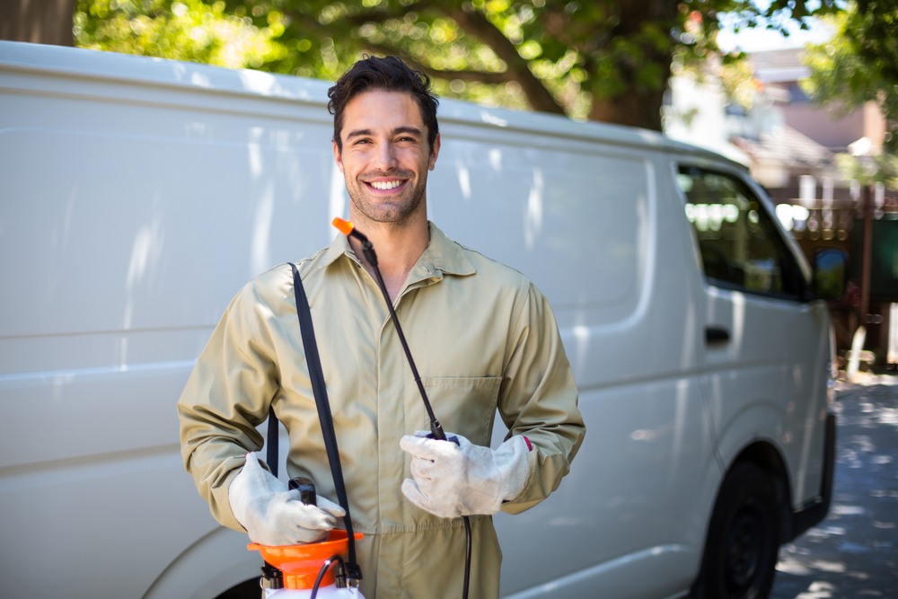 termite management in pre-construction