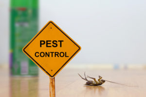 pest control business cost is demonstrated with a dead cockroach lying on its back behind a yellow 'pest control' sign