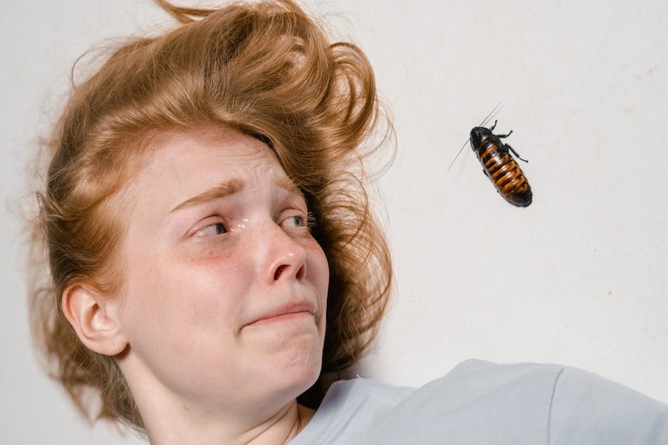 woman is afraid of cockroach