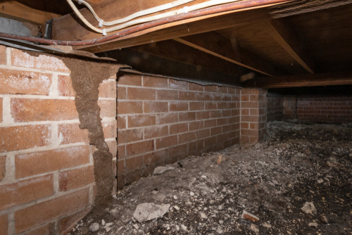 missed termite activity causes damage to flooring resulting in an insurance claim against the termite inspector 
