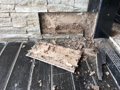 termite damage exposed during home renovations leads to an insurance claim which we feature as a case study