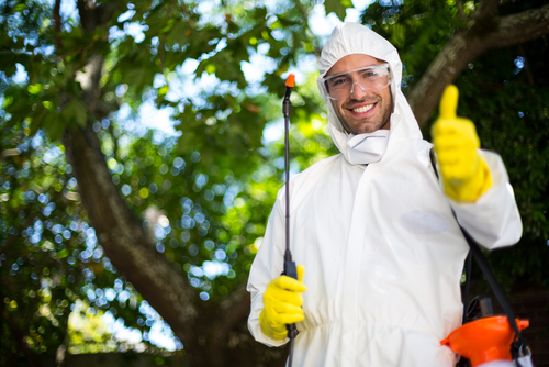 Portrait of smiling man showing thumbs up while holding insecticide sprayer in lawn