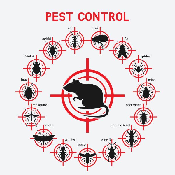 a chart showing the different types of pests and pest control activities