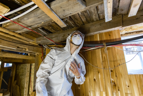 A pest inspector examines the subfloor of a home his customer is considering purchasing