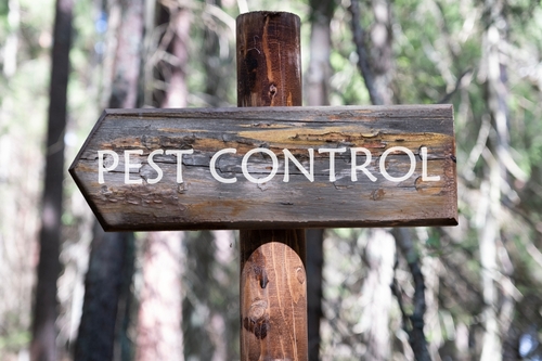 a sign points to a pest control business office