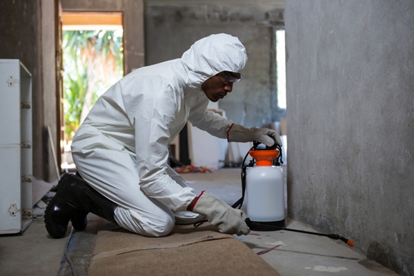 Man in protective white suit, gloves, and goggles looking at termite damage for an upcoming termite inspection course