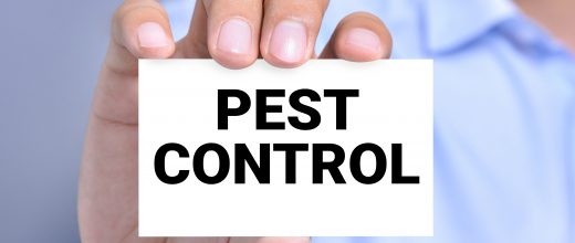 One of our online training courses is pest control